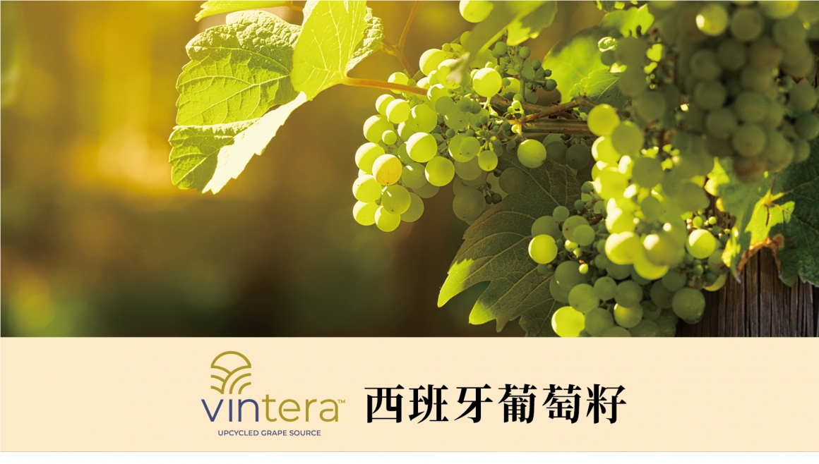 西班牙葡萄籽